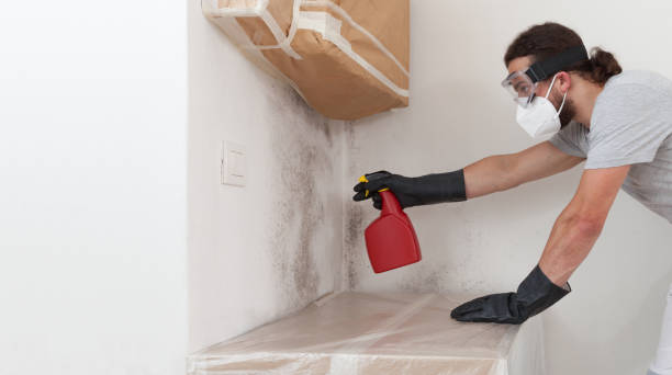 Professional Bathroom Mold Removal technician working in Prospect Heights, IL
