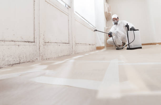 24/7 Emergency Bathroom Mold Removal experts in Prospect Heights, IL
